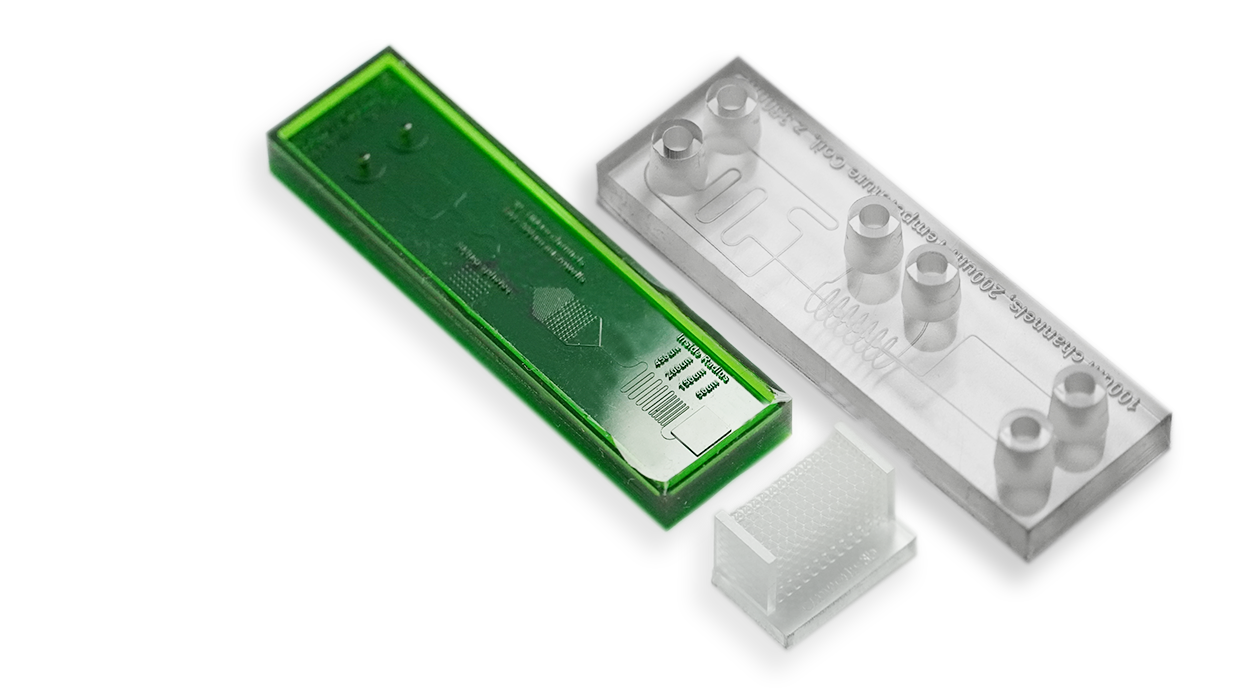 PDMS Clear Bioscaffold